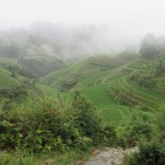 Longji rice terraces, China